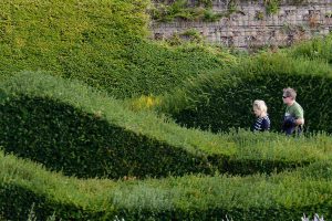 Thames Barrier Park sculptural hedges