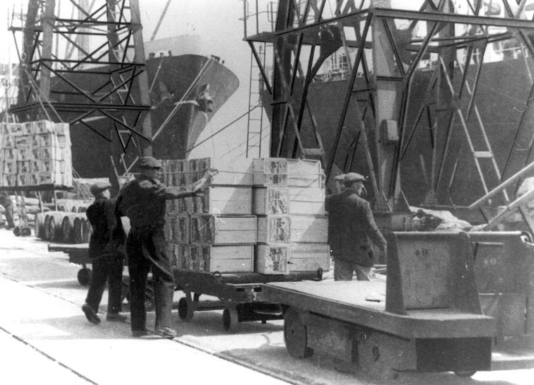 Cases of New Zealand apples being unloaded at the Royal Docks in 1949