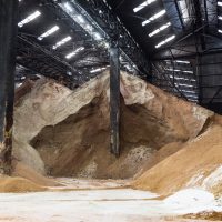 Mountain of raw sugar in a warehouse