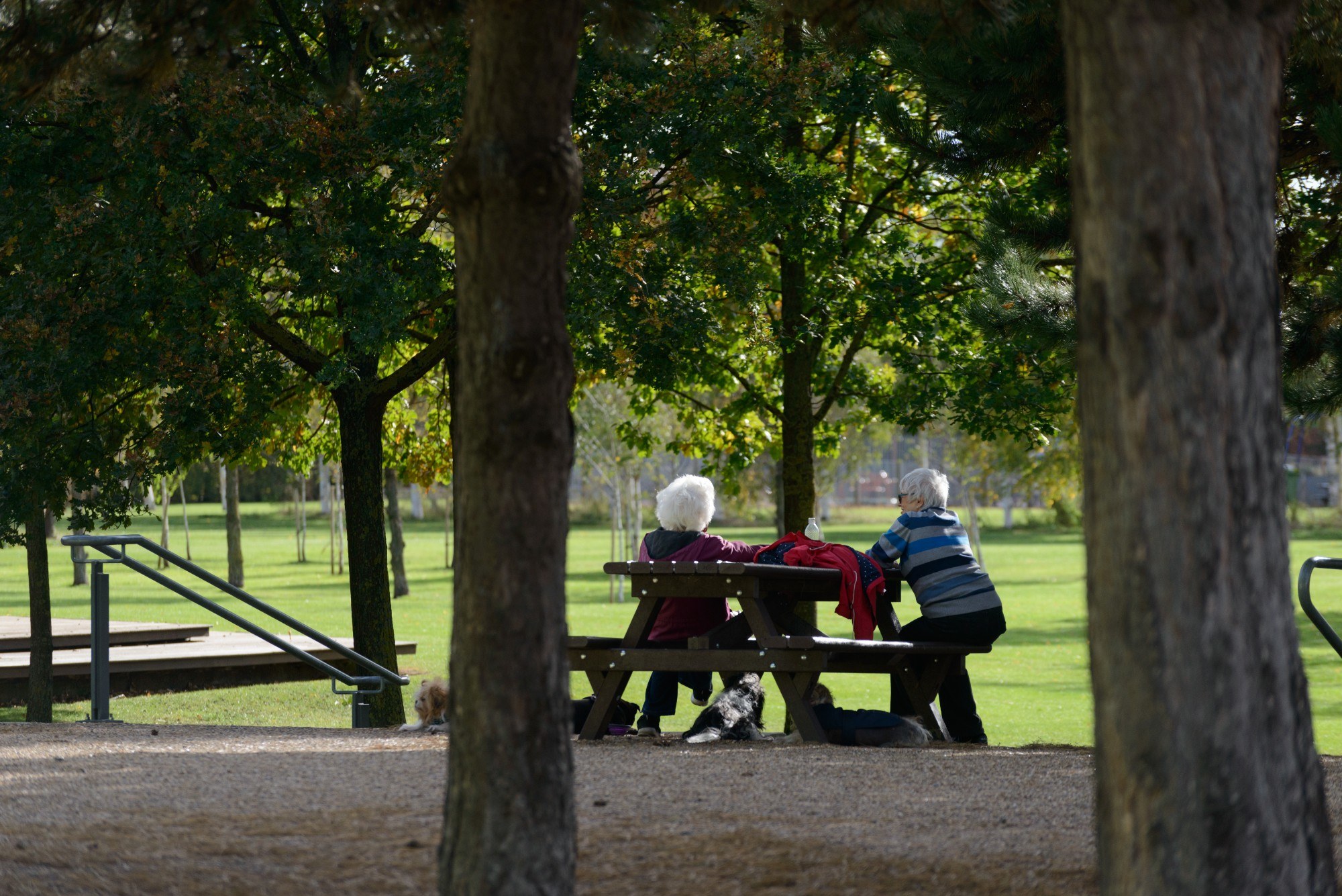A couple in Thames Barrier Park