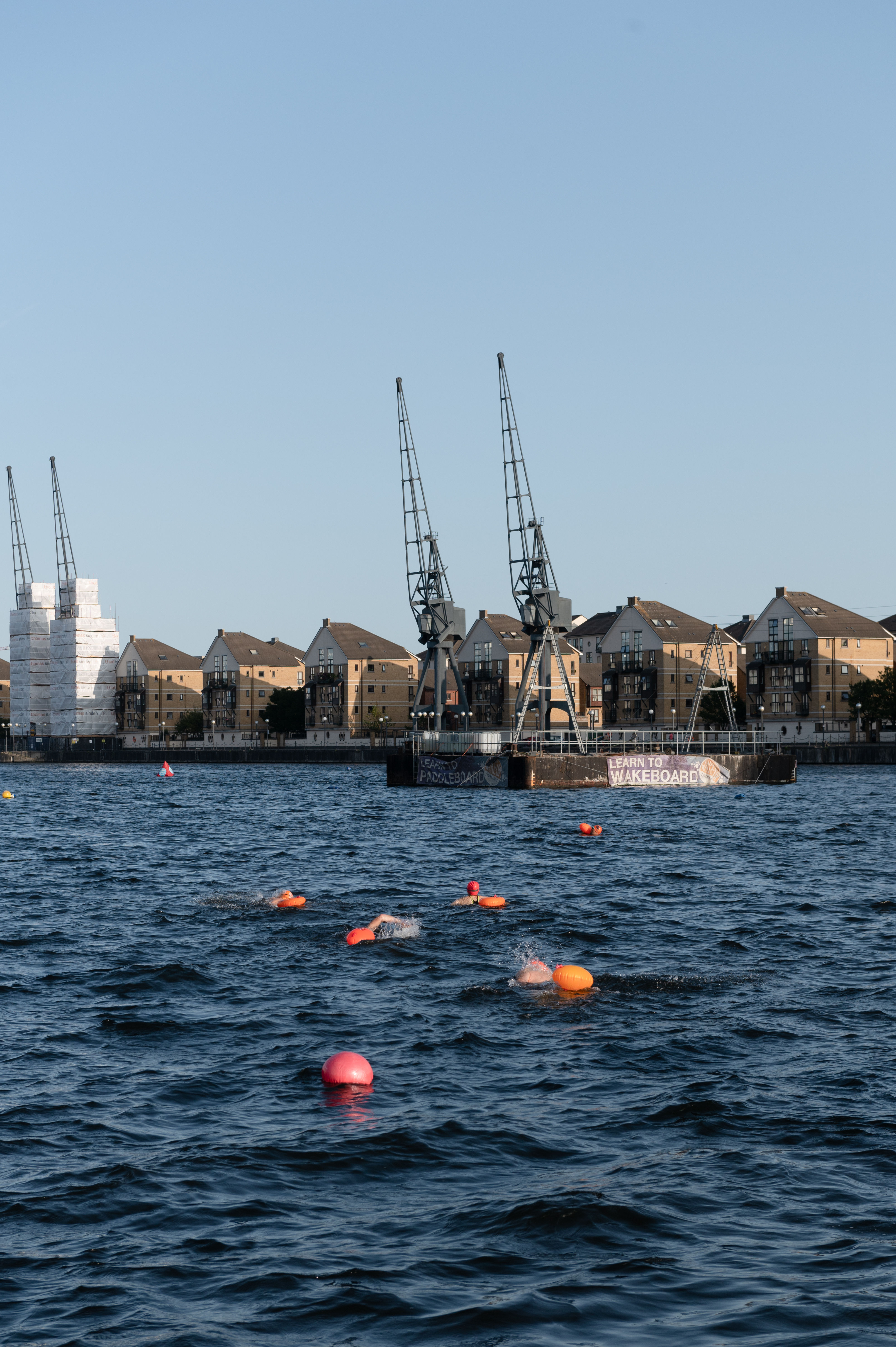 Blue dock water and cranes, with a few swimmers in orange caps