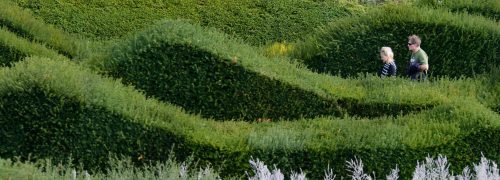 Rolling hedges of Thames Barrier Park