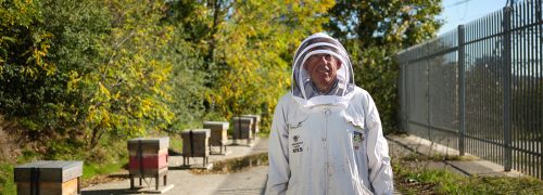 Hive Heroes: Royal Docks Honey Harvest