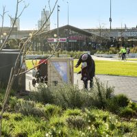 Woman and child looking at Lightbox display near the Crystal gardens