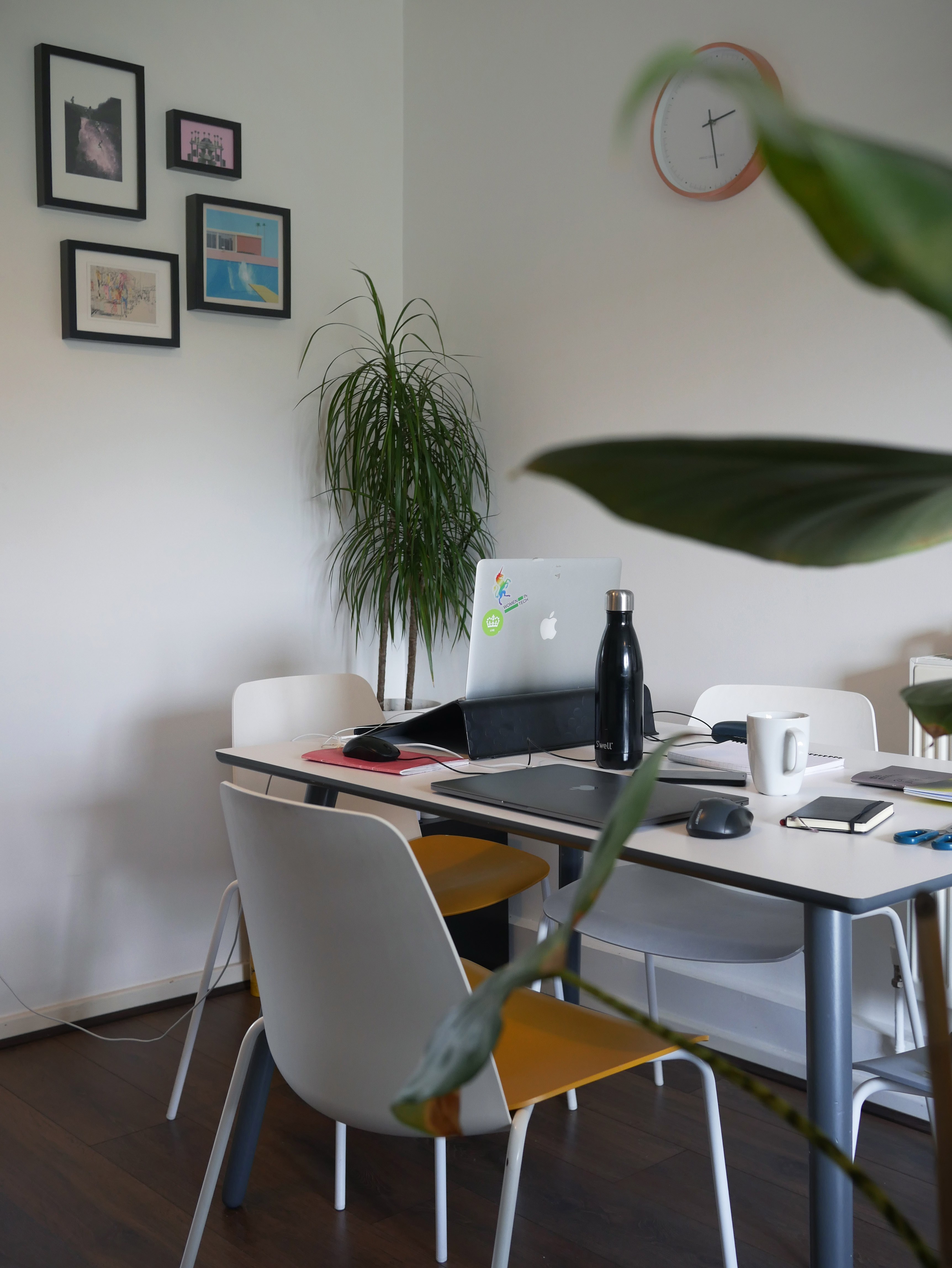 Peaceful desk with potted plants