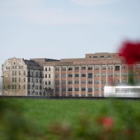 The Millennium Mills with red flowers in the foreground