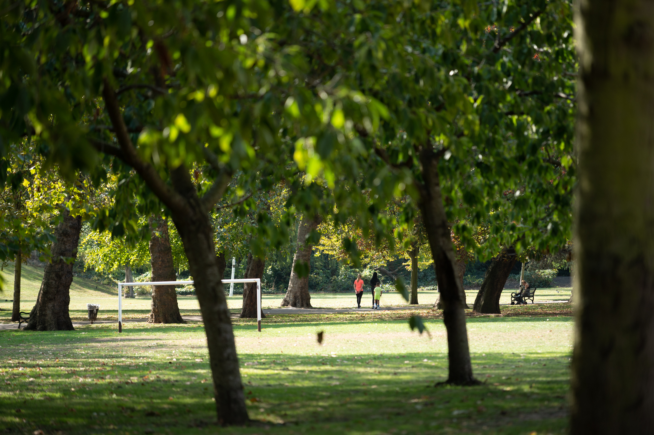 Park scene with trees and football goals