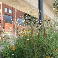 Royal Docks Corridor construction update – June 2024