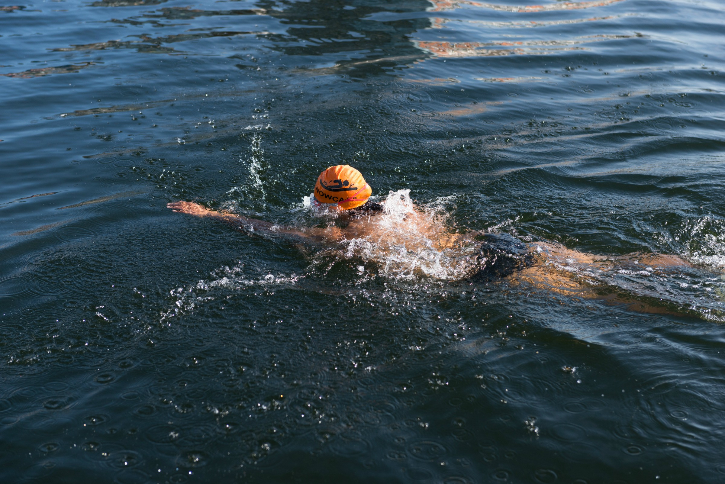 A swimmer in the Royal Docks water