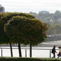 Thames Barrier Park awarded a Green Flag award – seven years running!
