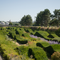 Thames Barrier Park Awarded Green Flag for Ninth Year Running