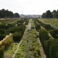 Thames Barrier Park flies the flag as one of the country’s best parks for a fourth consecutive year