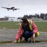 The Line commissioned by London City Airport to curate a new site-specific installation