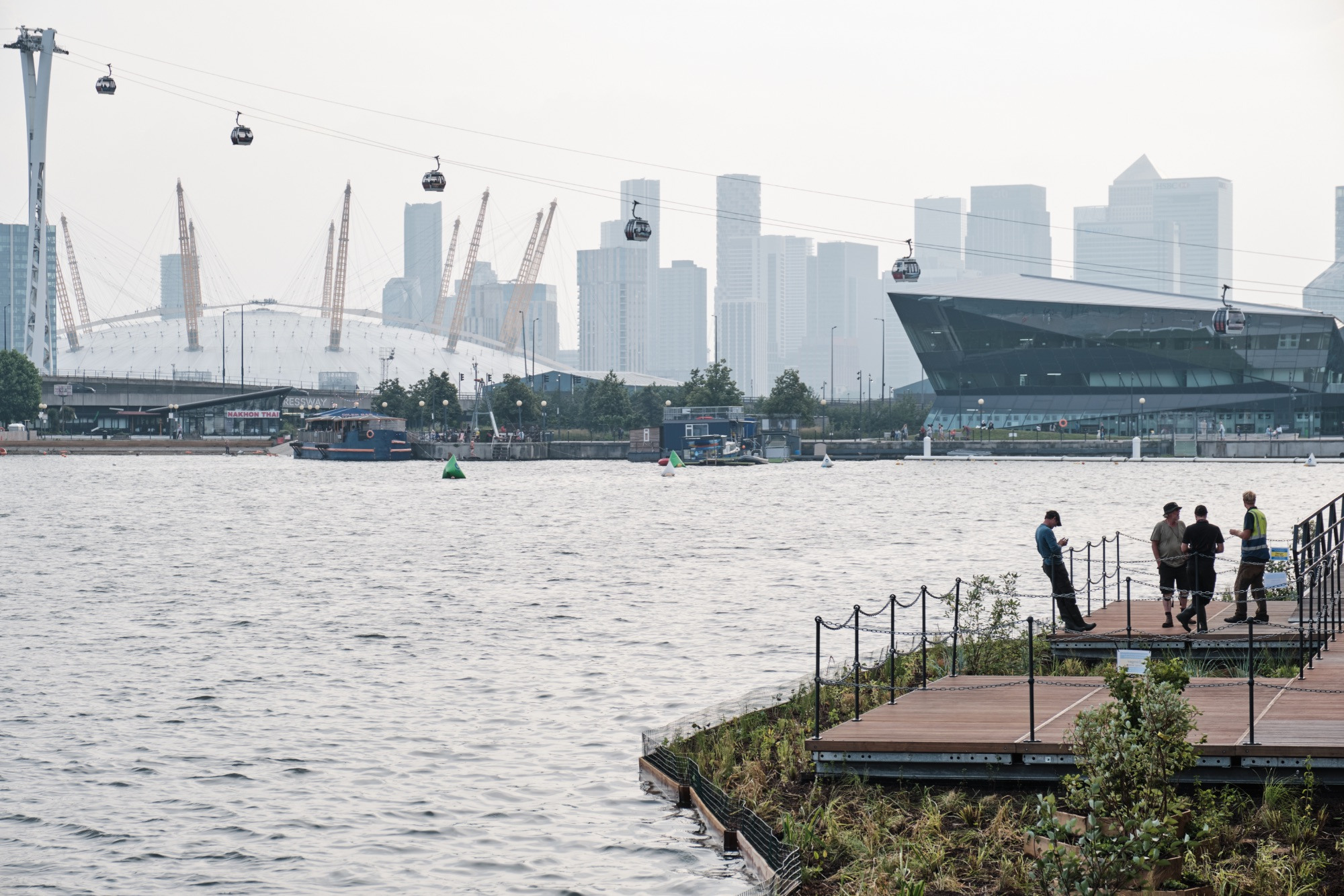 View of the Royal Docks floating garden with the Millennium dome in the background