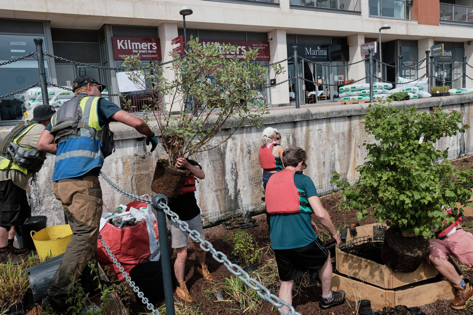 Royal Docks floating garden volunteers hauling trees into place