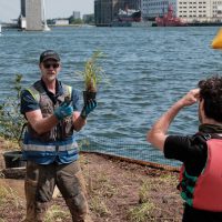 Royal Docks floating garden volunteers on the platform