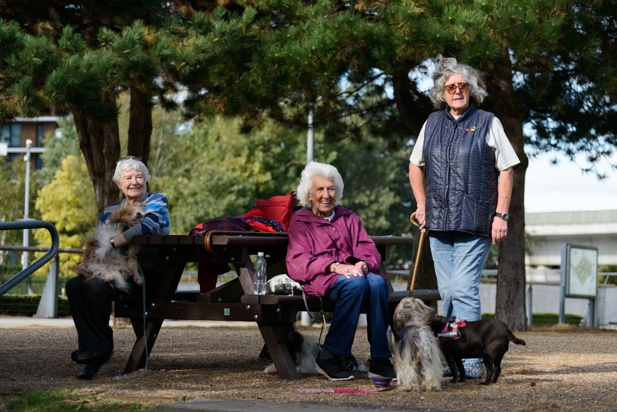 Portrait of three older women outside with dogs