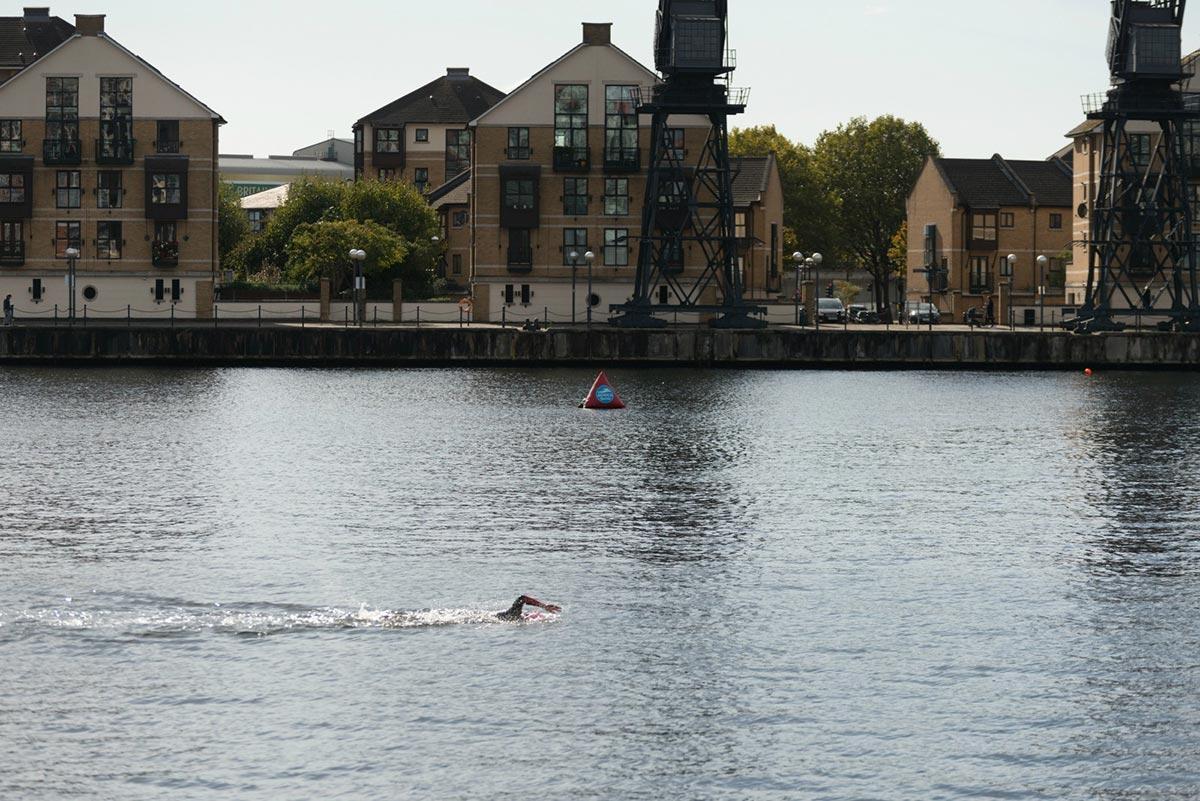 An open swimmer in the Royal Docks