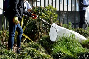 Royal Docks Walking Tour: Cleaning Boundaries