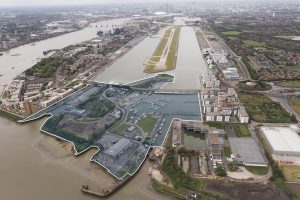 Albert Island Consultation