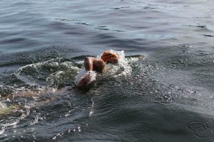 New Year's Day Dip 2019