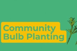Community Bulb Planting