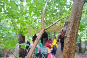 Curious by Nature: half term holiday club