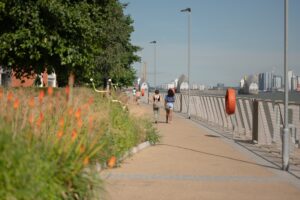 Explore the Royal Docks: Tours and Trails