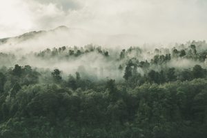 Virtual Reality Coffee Morning: Visit the Congo