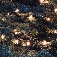 Christmas Tree with bright white LEDs