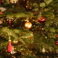 Christmas Tree with decorations