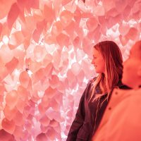 Breathing Room