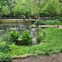 Everyone’s Invited: Join the Beckton Itchycoo Park Volunteer Session