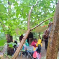 Curious by Nature: half term holiday club