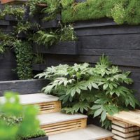 Grand Designs Live: claim your two free tickets