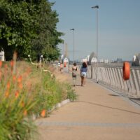 Explore the Royal Docks: Tours and Trails